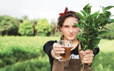 Local Tea de Europa