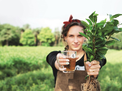 Local Tea de Europa