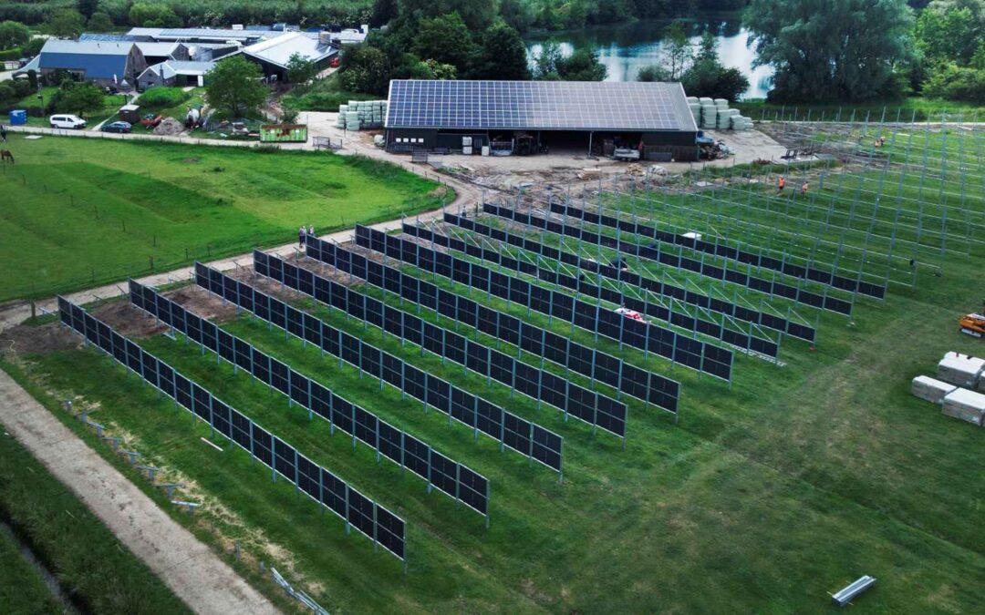 Paneles solares verticales